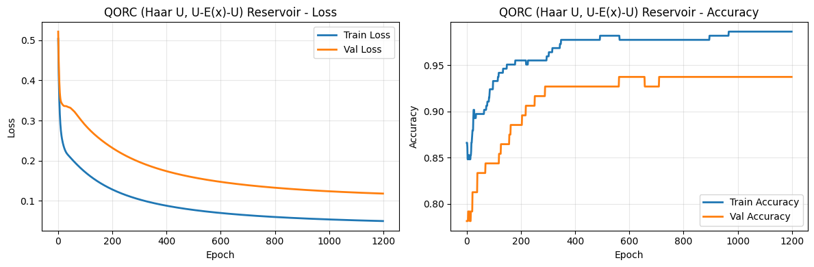 ../_images/notebooks_QORC-basics_19_0.png