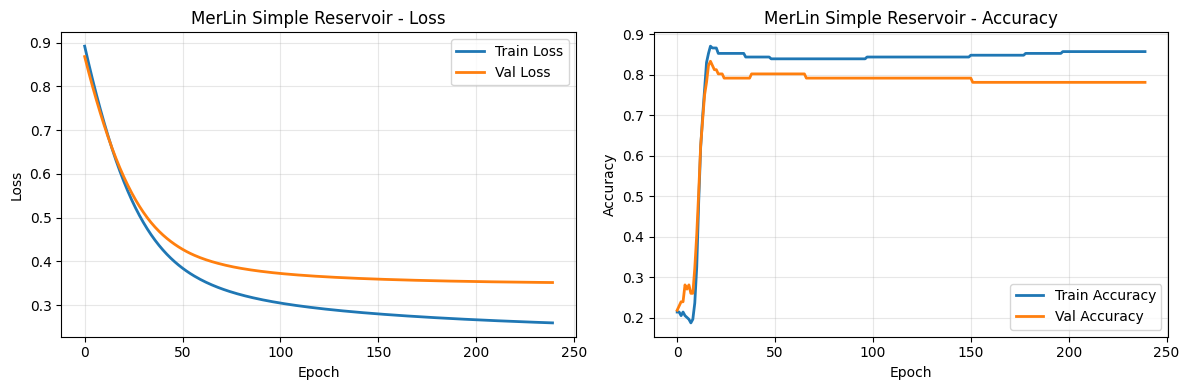 ../_images/notebooks_QORC-basics_18_0.png