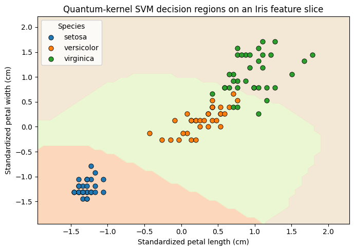 Kernel Methods: Fidelity kernel classification