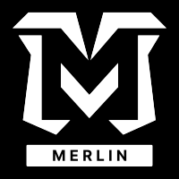 MerLin Paper