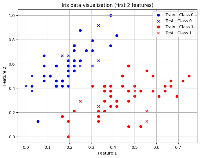 Binary Classification
