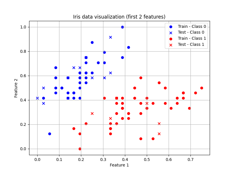 Binary classification (Iris)